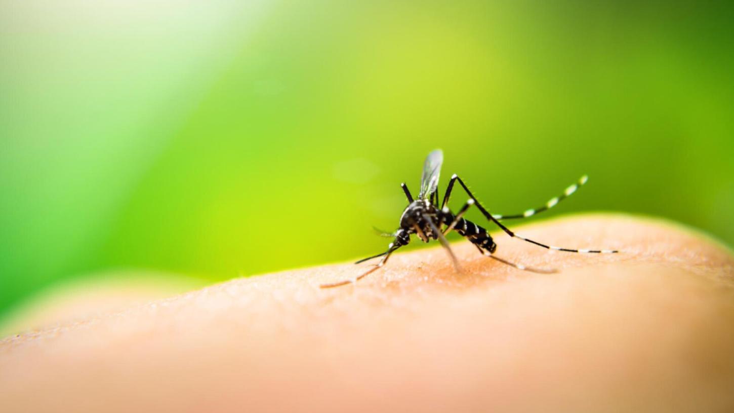 Febre amarela: como funciona a vacina e quem deve tomar